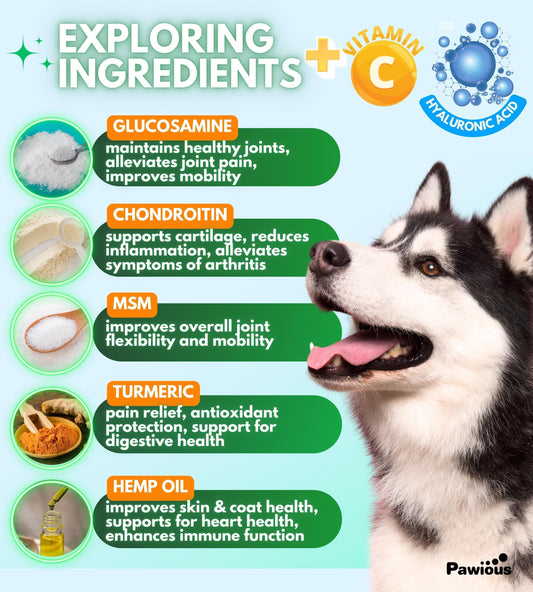 GreyMuzzle Hip & Joint Chews — Glucosamine Joint Support for Senior Dogs (120 Count)