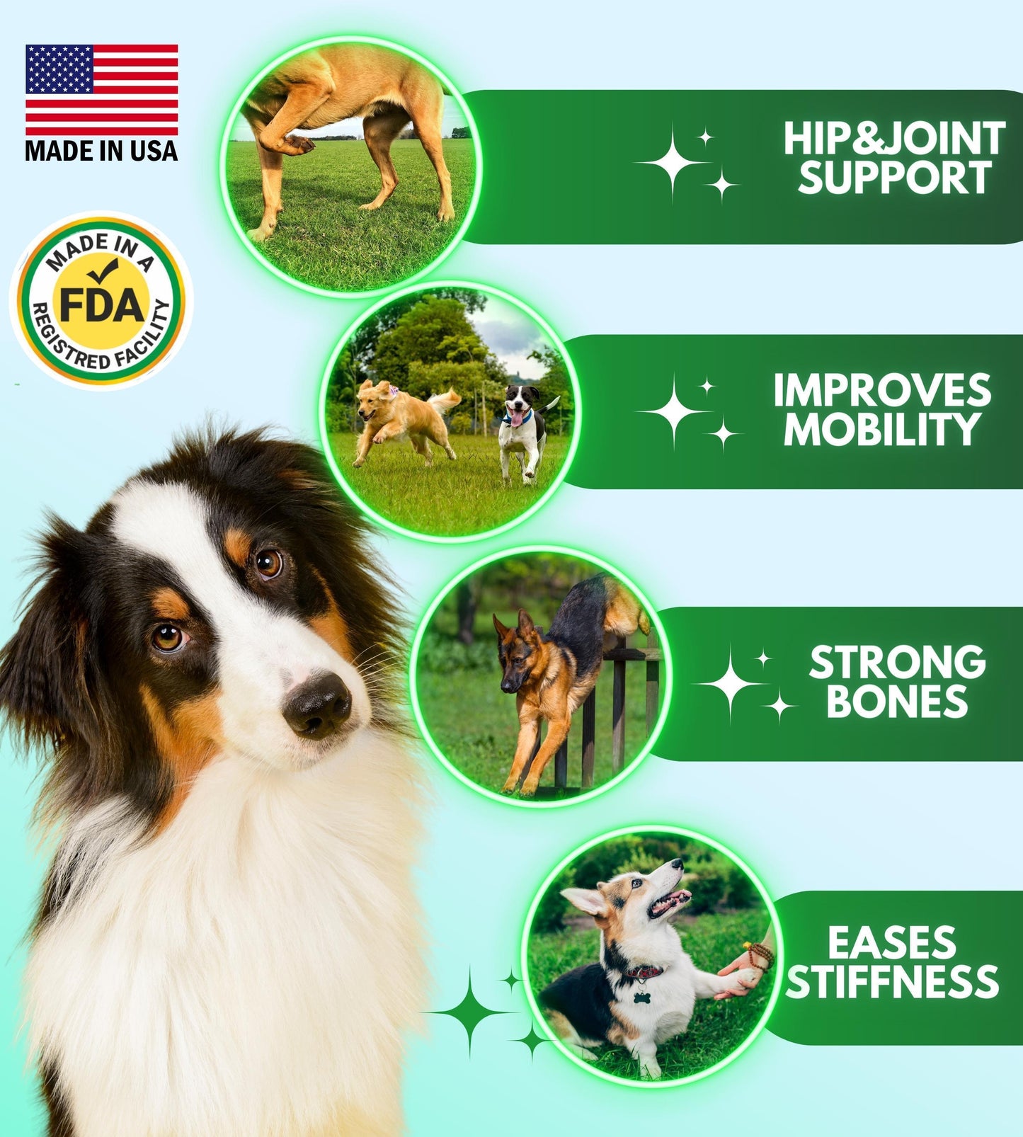 GreyMuzzle Hip & Joint Chews — Glucosamine Joint Support for Senior Dogs (120 Count)