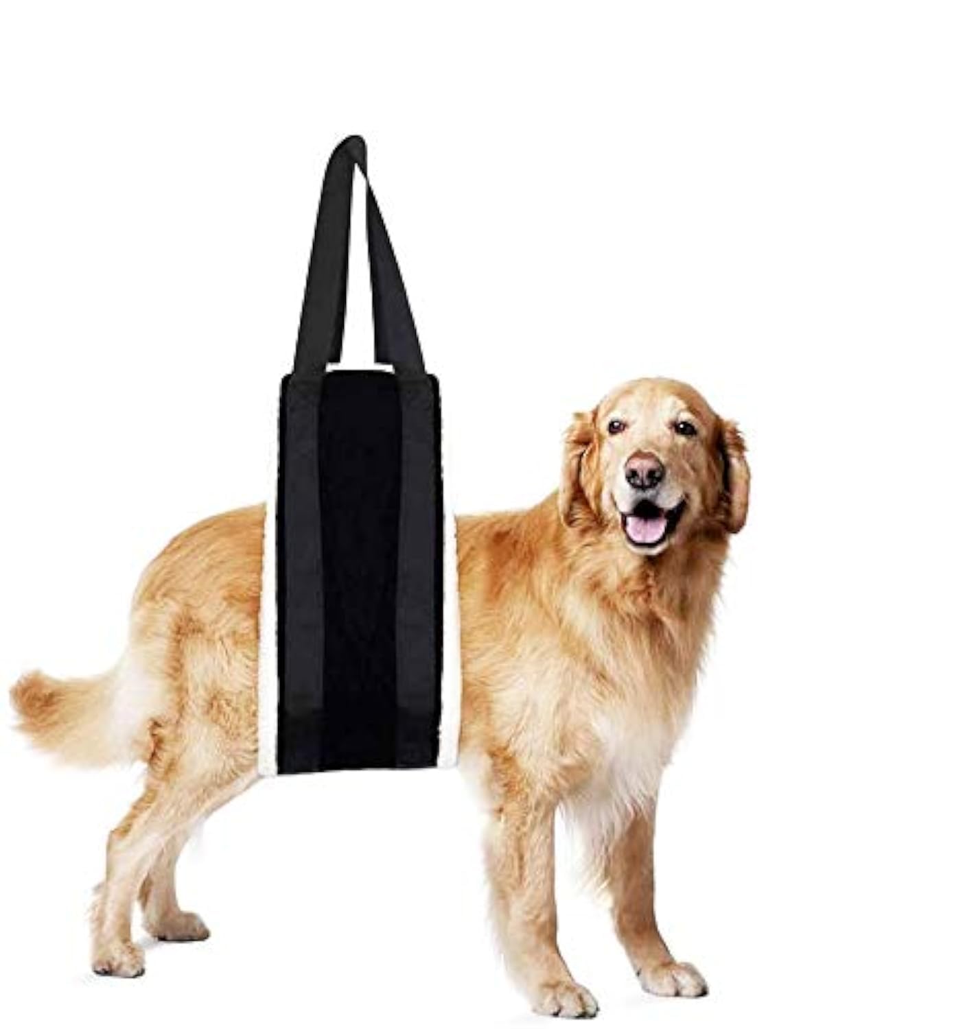 Senior dog wearing the GreyMuzzle Rear-Lift Support Sling, a padded fleece rear-support harness that fits 30 to 120 lbs